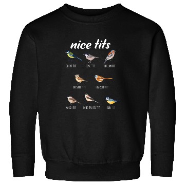 Discover Funny Nice Tits Birdwatching Bird Watching Birding Sweatshirts
