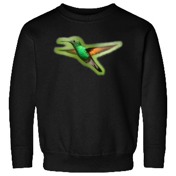 Discover Green Hummingbird Illustration Bird Lover Sweatshirts