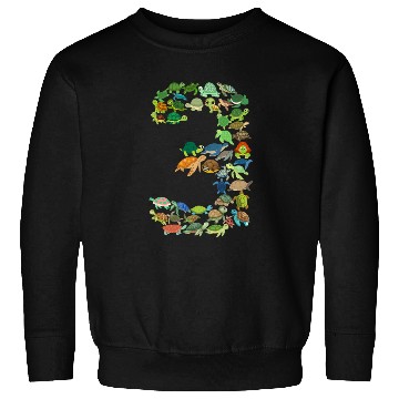 Discover 3rd Birthday Sea Turtle Tortoise Theme 3 Year Old Sweatshirts