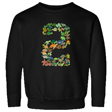 Discover 2nd birthday sea turtle tortoise theme 2 year old Sweatshirts