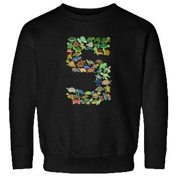 Discover 5th Birthday Sea Turtle Tortoise Theme 5 Year Old Sweatshirts