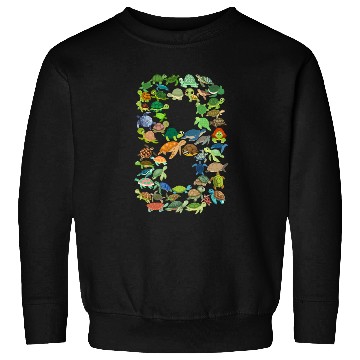Discover 8th Birthday Sea Turtle Tortoise Theme 8 Year Old Sweatshirts