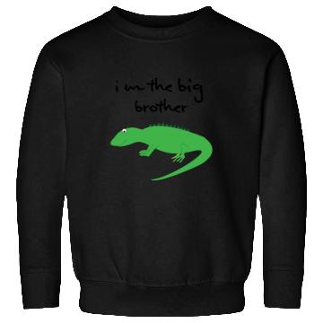 Discover big brother Sweatshirts