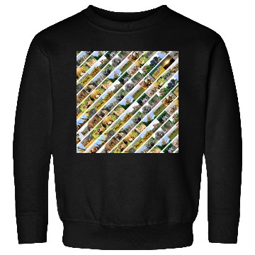 Discover Wildlife Stripe white Collage Sweatshirts