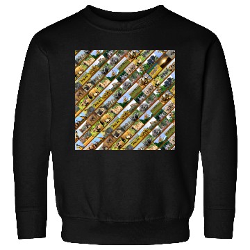 Discover Wildlife Stripe Brown Collage Sweatshirts