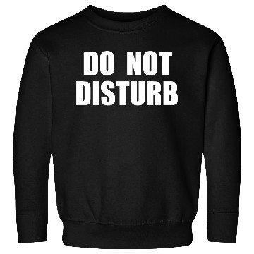 Discover Do Not Disturb - Airplane Airport Train Subway Sweatshirts