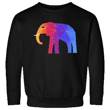 Discover Colorful Abstract Elephant Sweatshirts