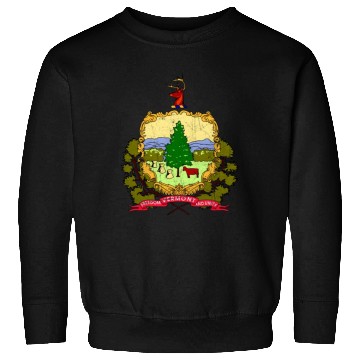 Discover Vermont Flag State Vintage Sweatshirts
