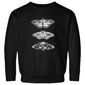 Discover Moth Animal Insect Bug Scientific Illustration Sweatshirts
