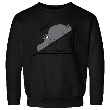 Discover Math Humor Hippotenuse Hypotenuse Sweatshirts