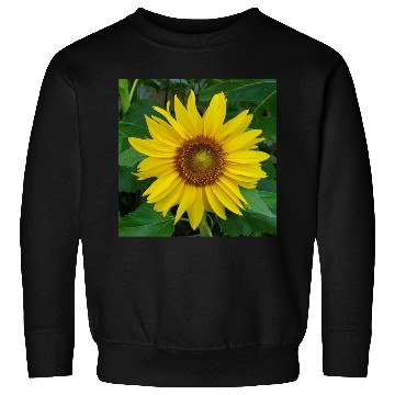 Discover My sunflower Sweatshirts