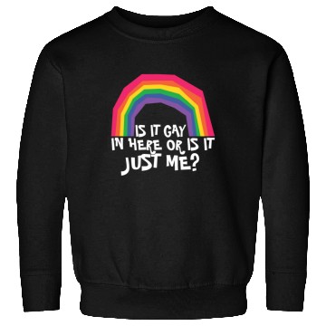 Discover LGBTQ Proud Ally Trans Gay Pride Is It Gay Here Sweatshirts