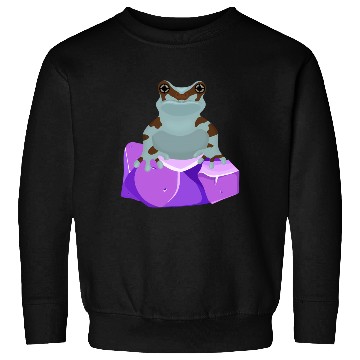 Discover Frog Crystal Amethyst Gemstone For Toad Owners Sweatshirts
