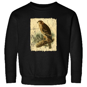 Discover Bird Facon Hawk Sweatshirts