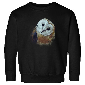 Discover Barn Owl Painting Owl Sweatshirts