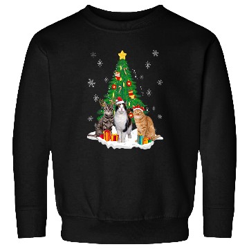 Discover Pi Number 3141 Math Teacher Student Sweatshirts