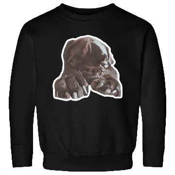 Discover Cane corso in its natural sleeping environment Sweatshirts
