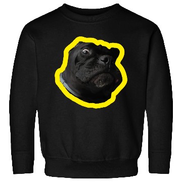 Discover Crazy Cane Corso Sweatshirts