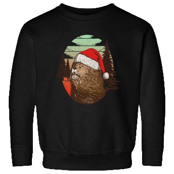 Discover Christmas Lion Sweatshirts