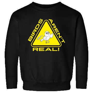 Discover Birds Aren t Real Robot Alert Sign Sweatshirts