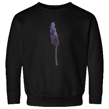 Discover Lavender Flower Illustration Sweatshirts