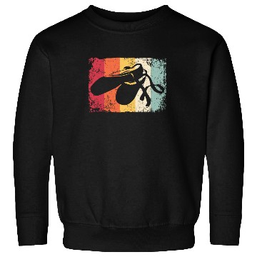 Discover Ballet Shoes Vintage Woman Ballerina Sweatshirts