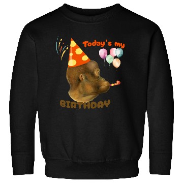 Discover today is my birtday funny monkey Sweatshirts