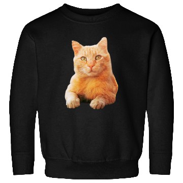 Discover Orange Cat Sweatshirts