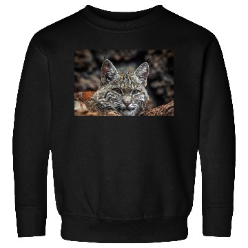 Discover Baby Bobcat, Cat, Stickers, Sweatshirts