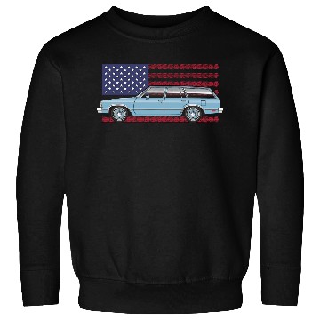 Discover Usa Light Blue Sweatshirts