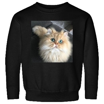 Discover Cat lover Sweatshirts