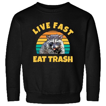 Discover Playful Raccoon Design Sweatshirts