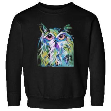 Discover Painted Owl Sweatshirts