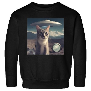 Discover Cat Ufo Alien Area 51 space shuttle Sweatshirts