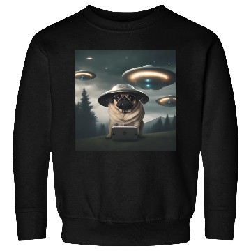 Discover Area 51 Sweatshirts