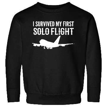 Discover First Solo Flight Copilot Gift Sweatshirts