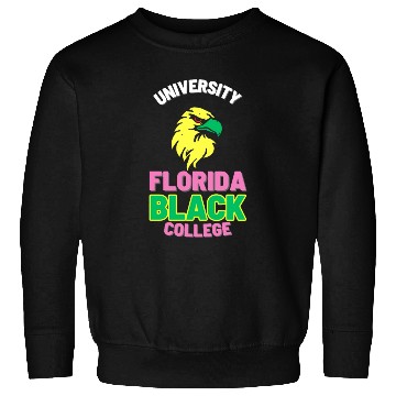 Discover University Florida Black College (Night Eagles Ed) Sweatshirts