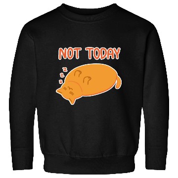 Discover Not today Lazy orange cat Sweatshirts