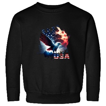 Discover America eagle under Moon with American Flag Sweatshirts