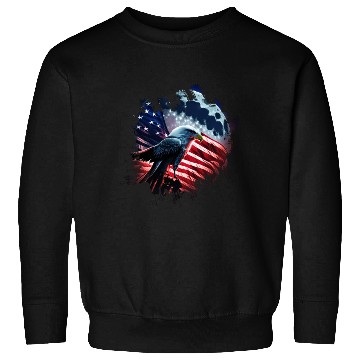 Discover America eagle under Moon with American Flag Sweatshirts