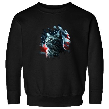 Discover America cat under Moon with American Flag Sweatshirts
