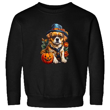 Discover Trick or Treat Puppy Sweatshirts