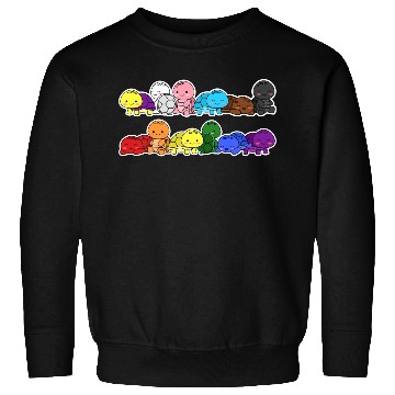 Discover Pride Progress Flag Turtle Design for Equality Sweatshirts