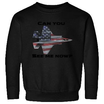 Discover Can you see me now F-35 Sweatshirts