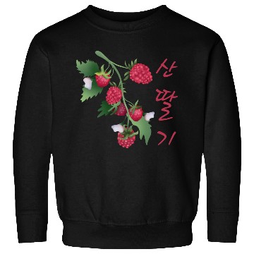 Discover Korean Raspberry Sweatshirts