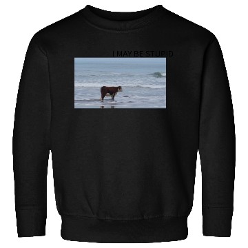 Discover I May Be Stupid Sweatshirts