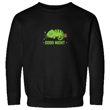 Discover Good Night Dream Pajamas Pyjamas Sweatshirts