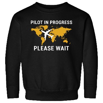 Discover Pilot In Progress Please Wait - Aviation Airplane Sweatshirts