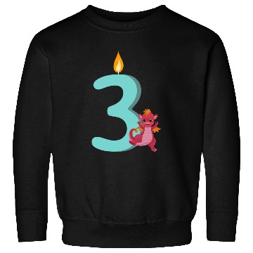 Discover 3rd Birthday Party - 3 Years Sweatshirts