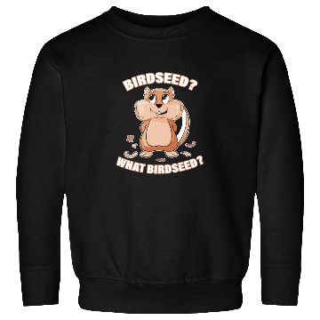 Discover Birdseed Funny Squirrel Cute Design Cute Squirrel Sweatshirts